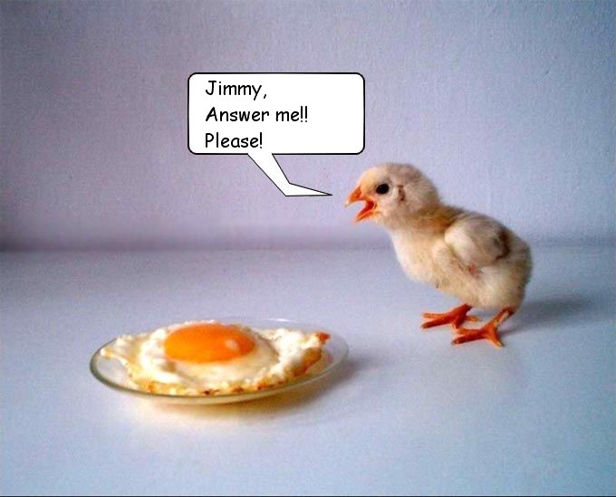 jimmy.jpg